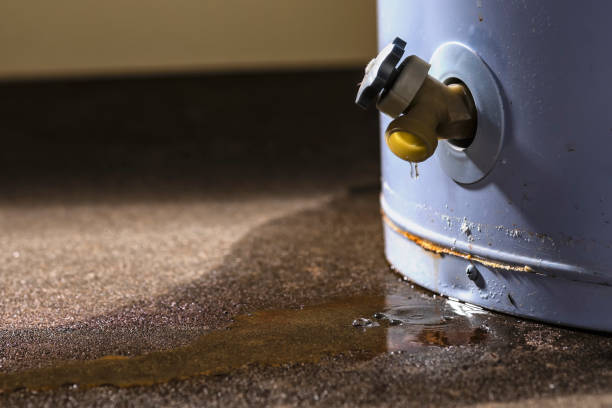 Best Local water damage restoration  in Mary Esther, FL