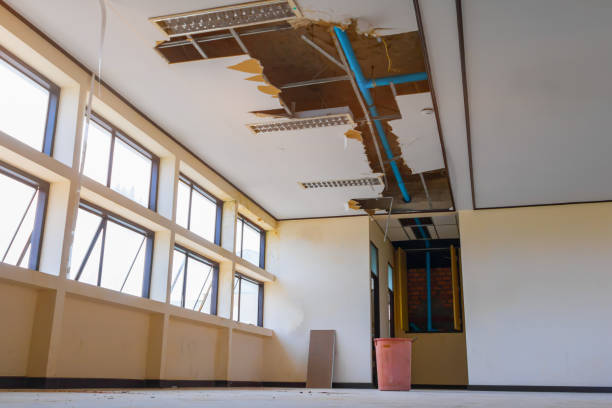 Best Sewage cleanup and water damage restoration  in Mary Esther, FL