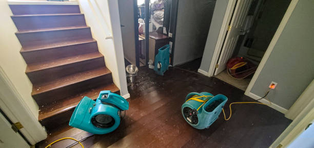 Best Ceiling water damage repair  in Mary Esther, FL