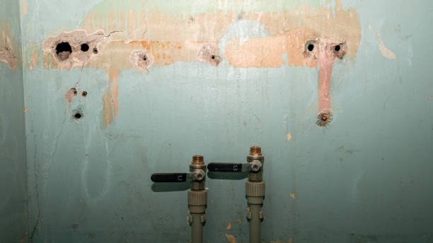 Best Flood restoration services  in Mary Esther, FL
