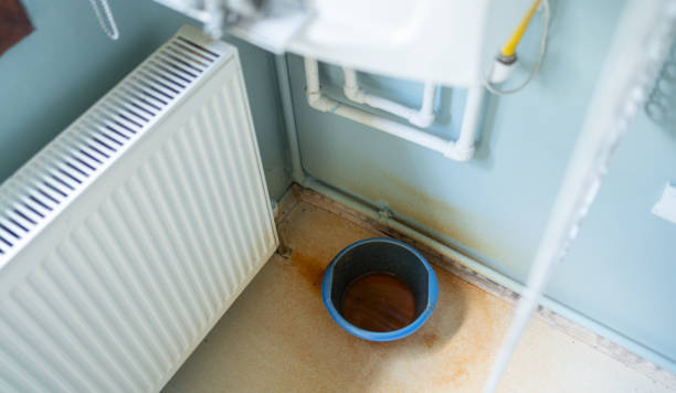 Best Water damage contractors near me  in Mary Esther, FL