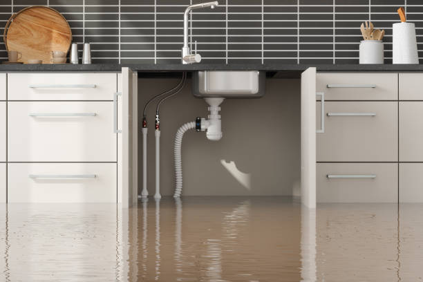 Best Basement water damage restoration  in Mary Esther, FL